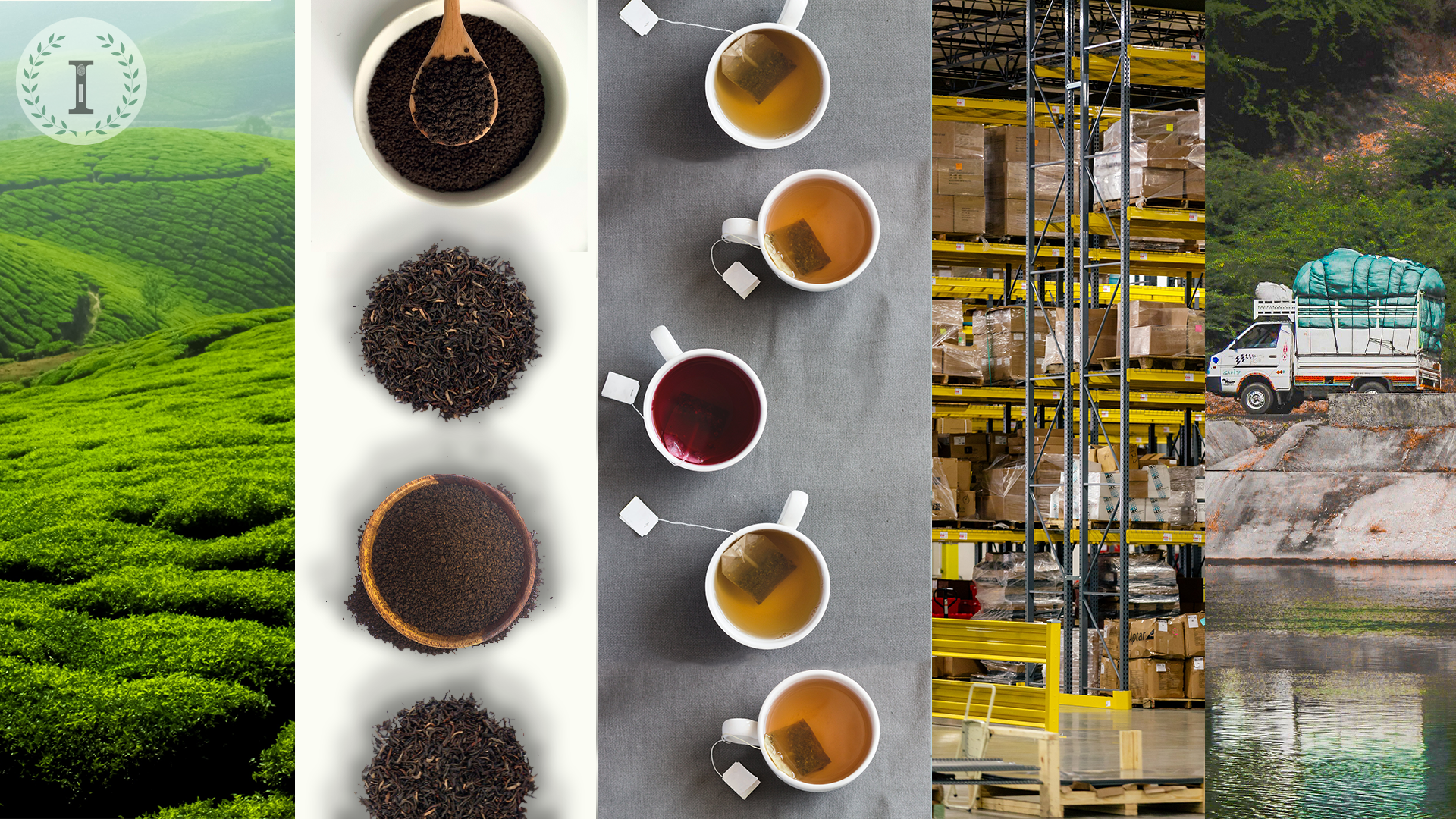 process of tea sourcing